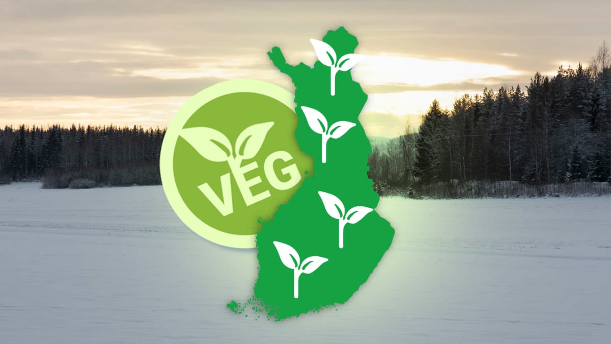 Talvinen peltomaisema jonka päällä grafiikka vegaanisesta Suomesta