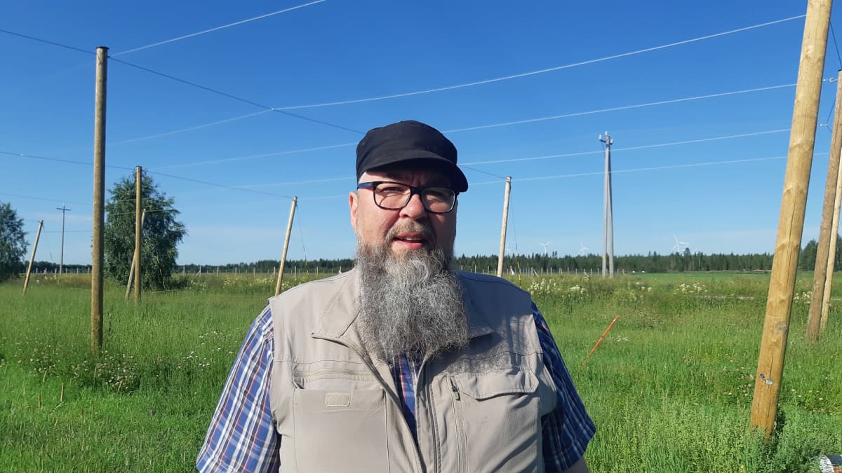 Louen maatalousoppilaitoksen toimipaikkapäällikkö Jarmo Saariniemi seisoo koeviljelmäalueella, taustalla näkyy humalaköynnöksiä varten pystytettyj pylväitä