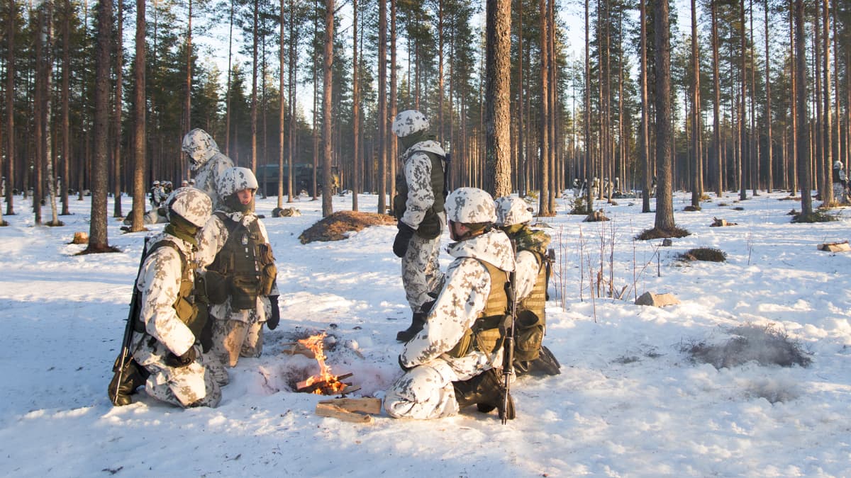 Alokkaat nuotion äärellä metsässä. 
