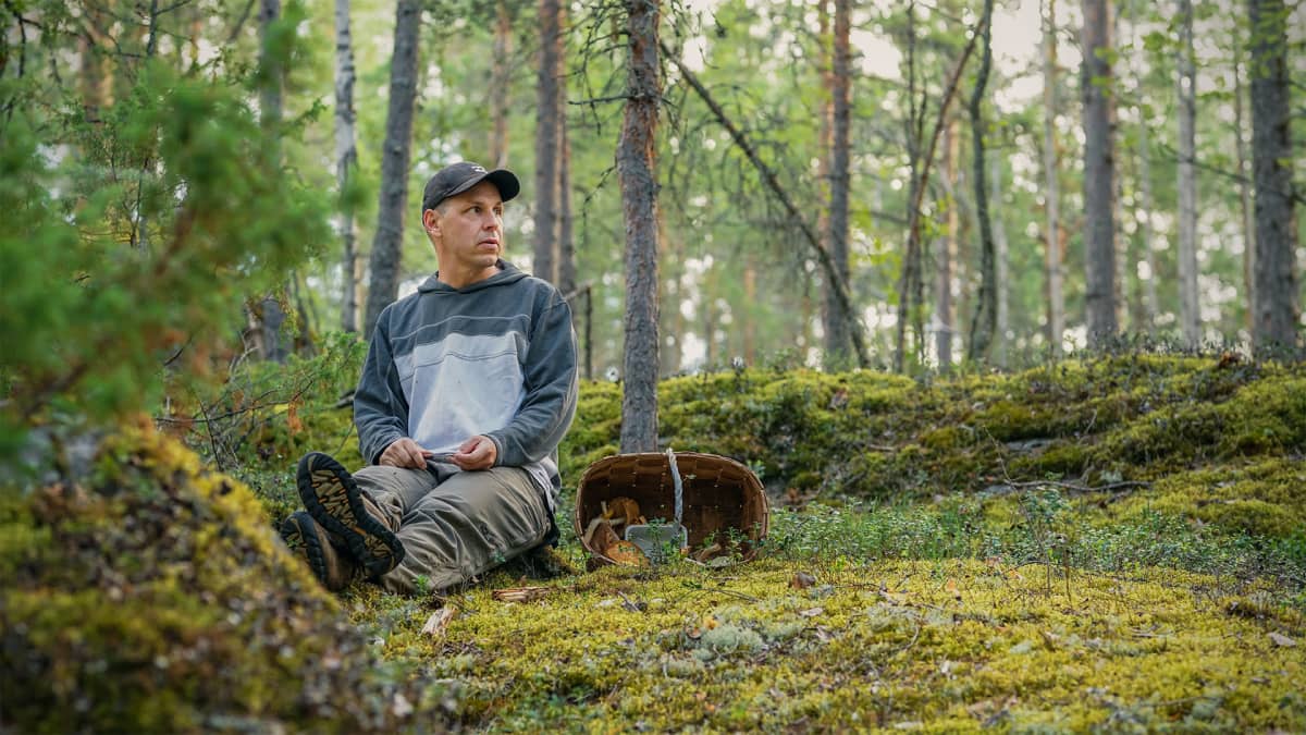 Panu Halme istuu metsässä sienikorin kanssa.