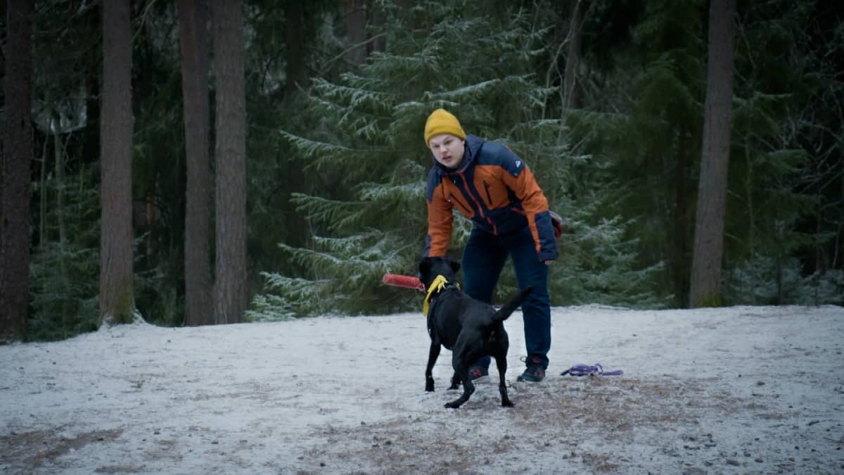 Salli-koira ja Jasper Mäki-Jokela leikkivät metsässä. Salli on Jasperin paras ystävä.