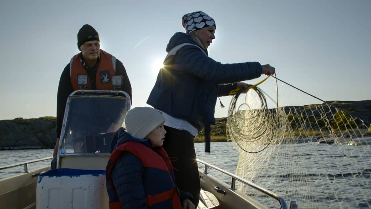 Aaltosen perhe on veneessä nostamassa verkkoja Utön saaren edustalla