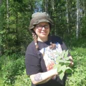 Luonnontuoteneuvoja Annuka Ovaska etsii kesäisestä metsästä luonnonyrttejä, kuvassa käsissä on vuohenputkia. 