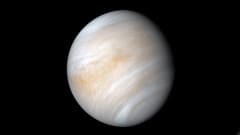 Planeten Venus.