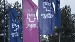 Oulun Yliopiston lippuja