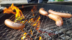 Makkaraa grillataan