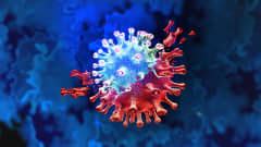 Animation av hur ett coronavirus muterar.