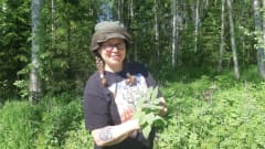 Luonnontuoteneuvoja Annuka Ovaska etsii kesäisestä metsästä luonnonyrttejä, kuvassa käsissä on vuohenputkia. 