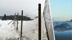 Kuvakombo, toisessa kuvassa riista-aita lumisessa maisemassa ja toisessa riistasilta, jonka yli juoksee hirviä.