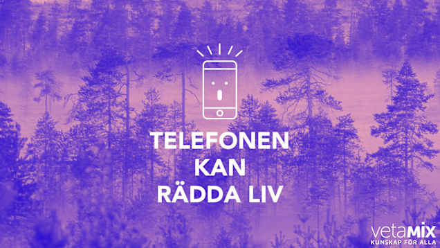 En bild på en skog och en animerad telefon.