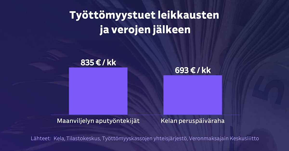 yle.fi