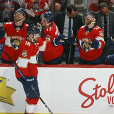 Viisi suomalaista maalinteossa yön NHL-kierroksella - katso maalikimara