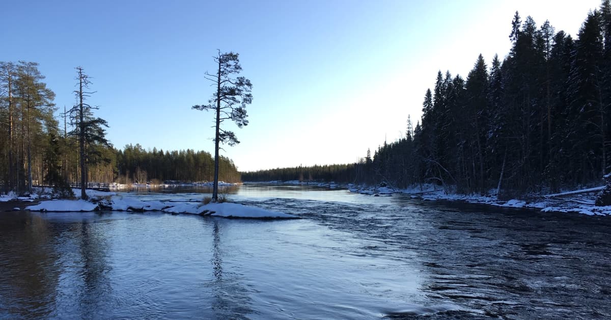 Lieksan elinvoimajohtajuus kiinnostaa yli 40 hakijaa | Pohjois-Karjala ...