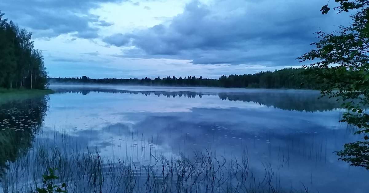Midsummer Storm & Finnish Homeland: Tiira Bird Story