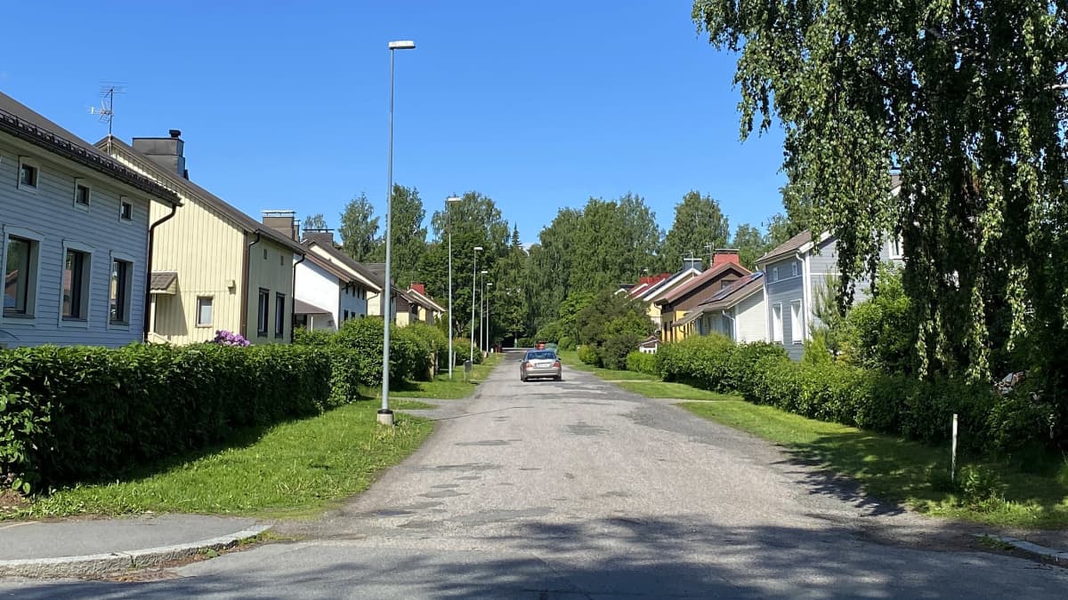 Kesäinen katunäkymä Hämeenlinnan Rinkelinkadulta, jonka varrella puisia omakotitaloja 1900-luvun ensimmäiseltä puoliskolta.