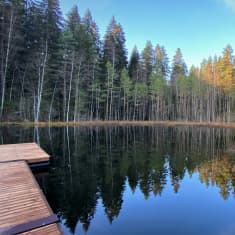 Syysaurinko valaisee metsälammen rantapuita. Kuvassa näkyy laituri. Ei ihmisiä.