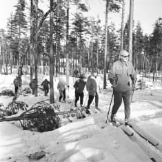  Presidentti Urho Kekkonen hiihtämässä lumituhoalueella Kiljavassa 19. helmikuuta 1959.