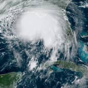 Satelliittikuva hurrikaani Sallysta.