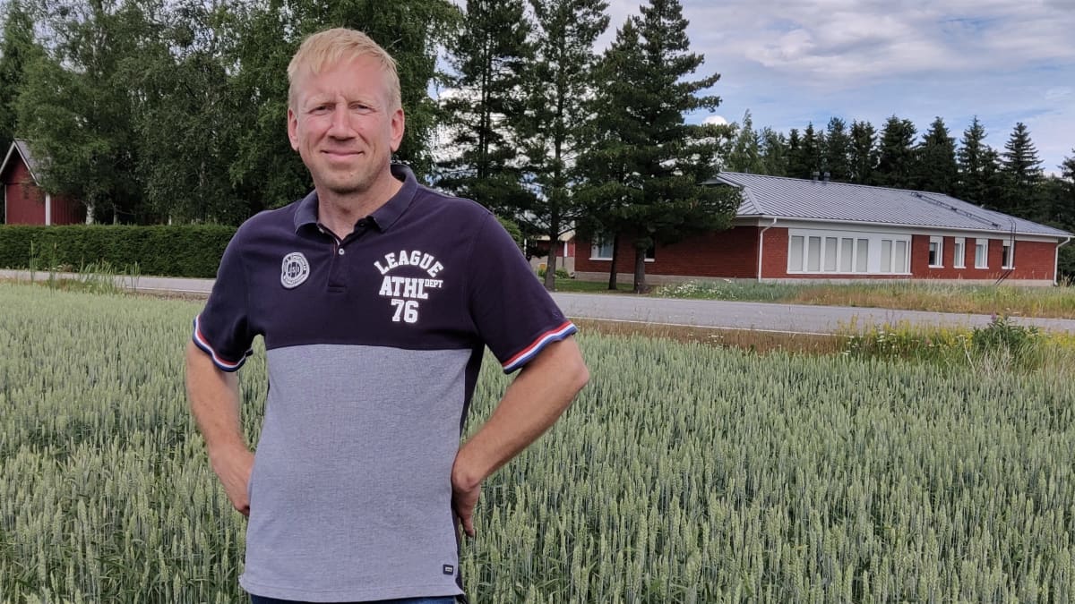 Maanviljelijä Pekka Eskola vehnäpelolla Loimaan Mellilässä.