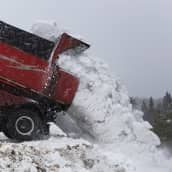 Lunta kipataan lumenkaatopaikalla kuorma-autosta. Pyryttää.
