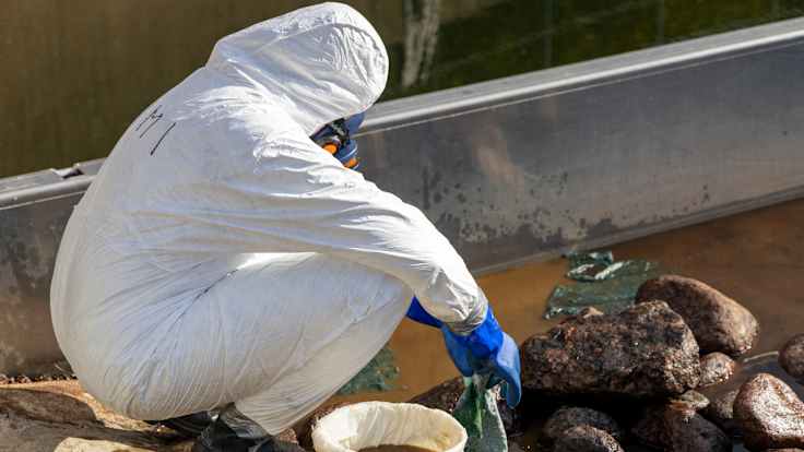 WWF:n vapaaehtoiset harjoittelemassa öljyntorjuntaa ja pudistavat rantahiekkaa öljystä.