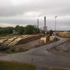 Puuta ja haketta Kuopion Energian Haapaniemen voimalaitoksen alueella. 