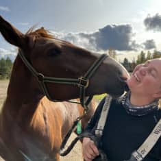 Hevonen pussaa vieressä seisovaa, hymyilevää naisomistajaansa auringonpaisteessa. 