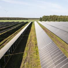Aurinkopaneeleita aurinkopuistossa. Taustalla näkyy tuuliturbiineja. Solarigo Systems Oy:n aurinkopuisto Kalajoella Pohjois-Pohjanmaalla.