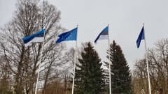 Estlands flagga vajar bredvid Natos utanför Presidentens kansli i Tallinn.