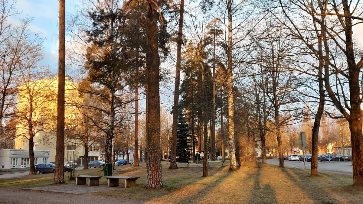 Tuomas Gerdtin nimikkopuisto Lappeenrannan Lauritsalassa.
