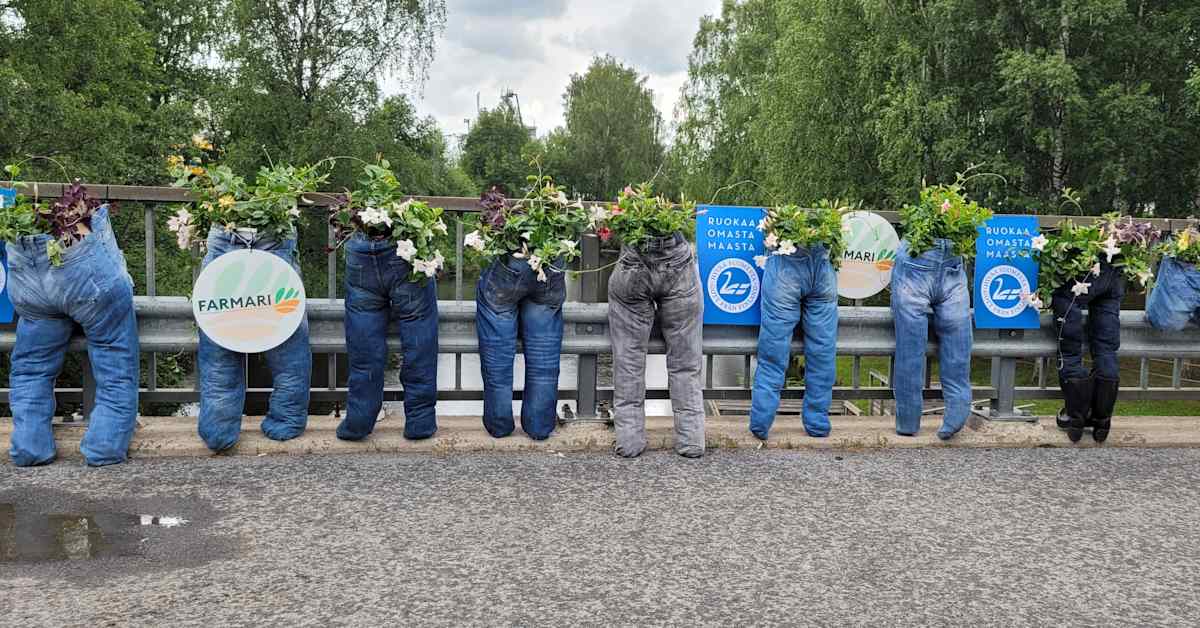 sein-joen-farmari-p-ttyi-lauantaina-yleis-enn-tykseen