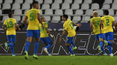 Brasilia juhlii maalia