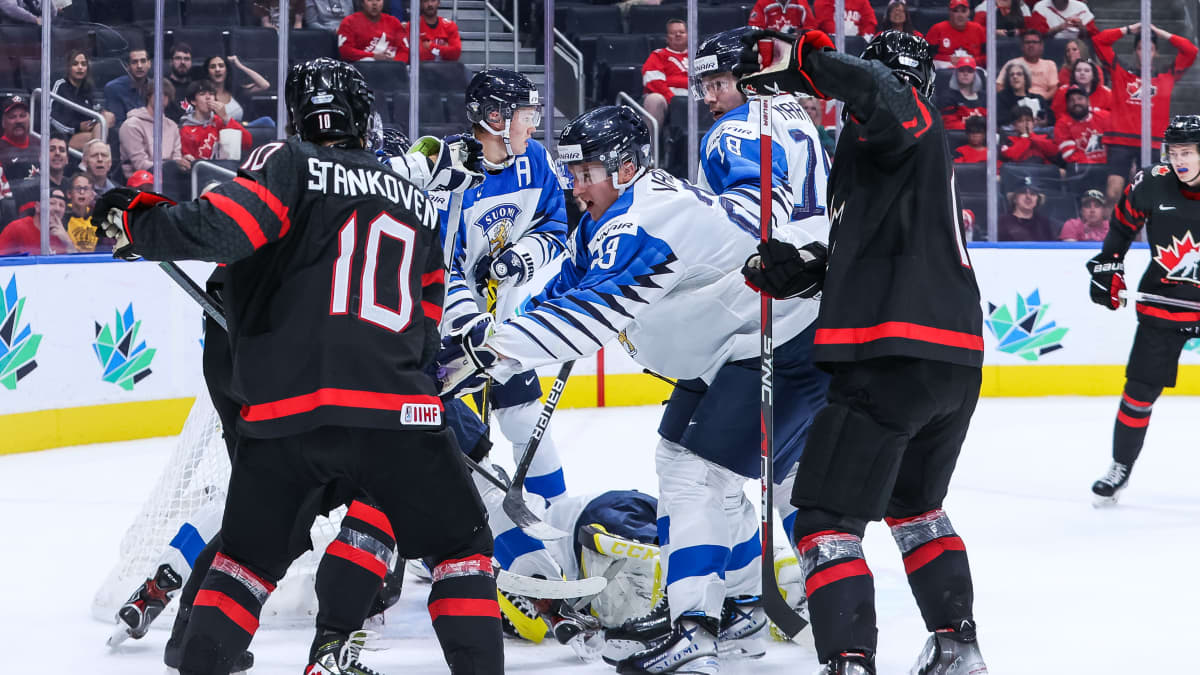 Nuoret Leijonat.