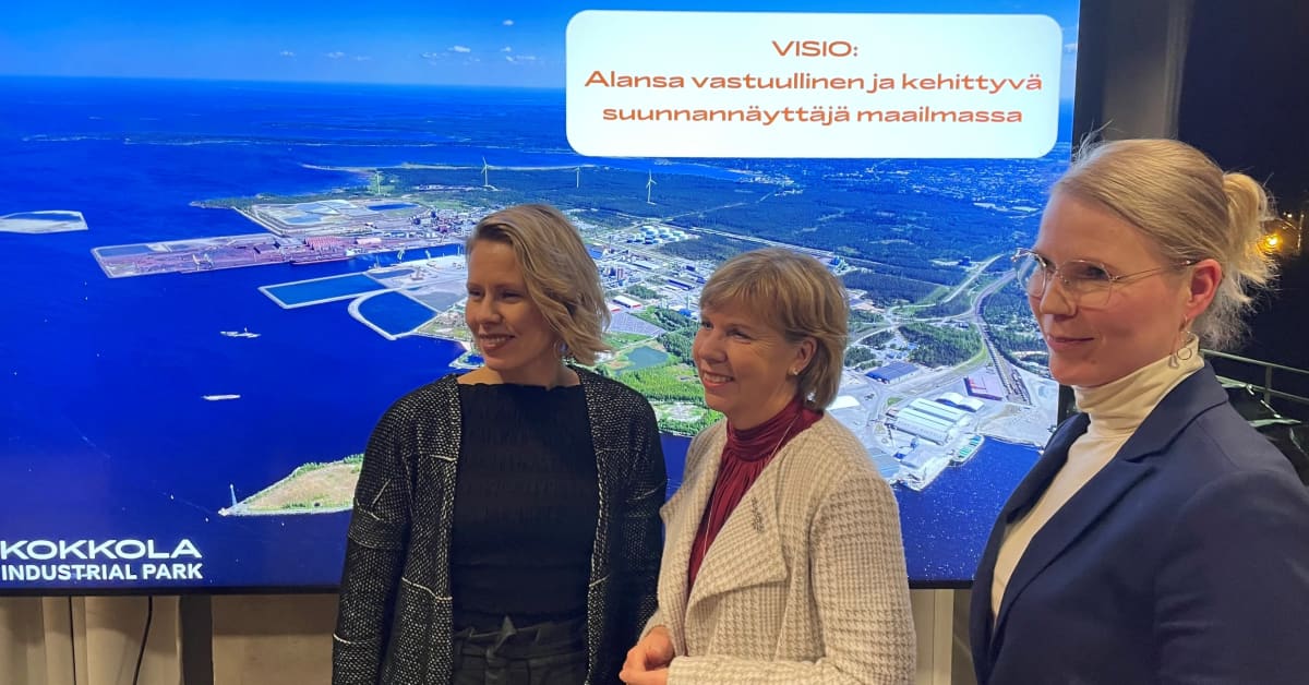 Oikeusministeri Henriksson Lakkauttaisi Ulkomaisten Ty ntekij iden 