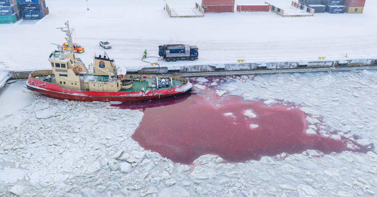 Kemissä mereen päätyi 10 000 litraa öljyä – ”Harvinainen, mutta ei ainutlaatuinen onnettomuus”, sanoo asiantuntija