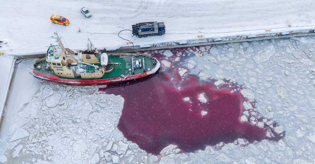 Kemissä tutkitaan edelleen poikkeuksellisen öljyvahingon jälkiä, näytteet toistaiseksi puhtaita
