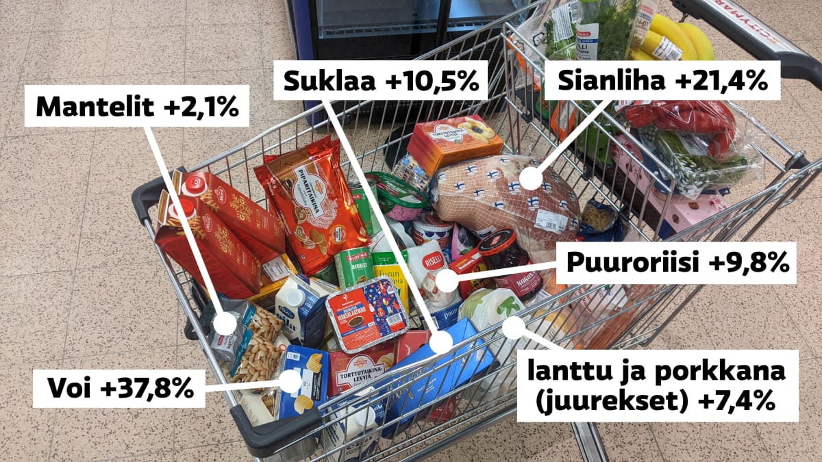 Ostoskärryt, jossa grafiikalla näytetty eri tuotteiden hintojen nousua.