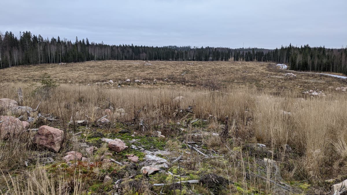 Mäntsälään suunnitellaan uutta lentokenttää