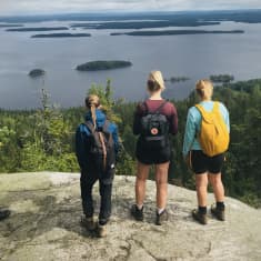 Neljä nuorta retkeilijää katsomassa Suomen kansallismaisemaa Kolin kansallispuistossa, vaaran huipulla.