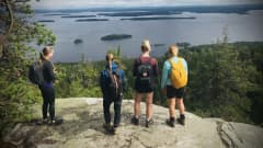 Neljä nuorta retkeilijää katsomassa Suomen kansallismaisemaa Kolin kansallispuistossa, vaaran huipulla.