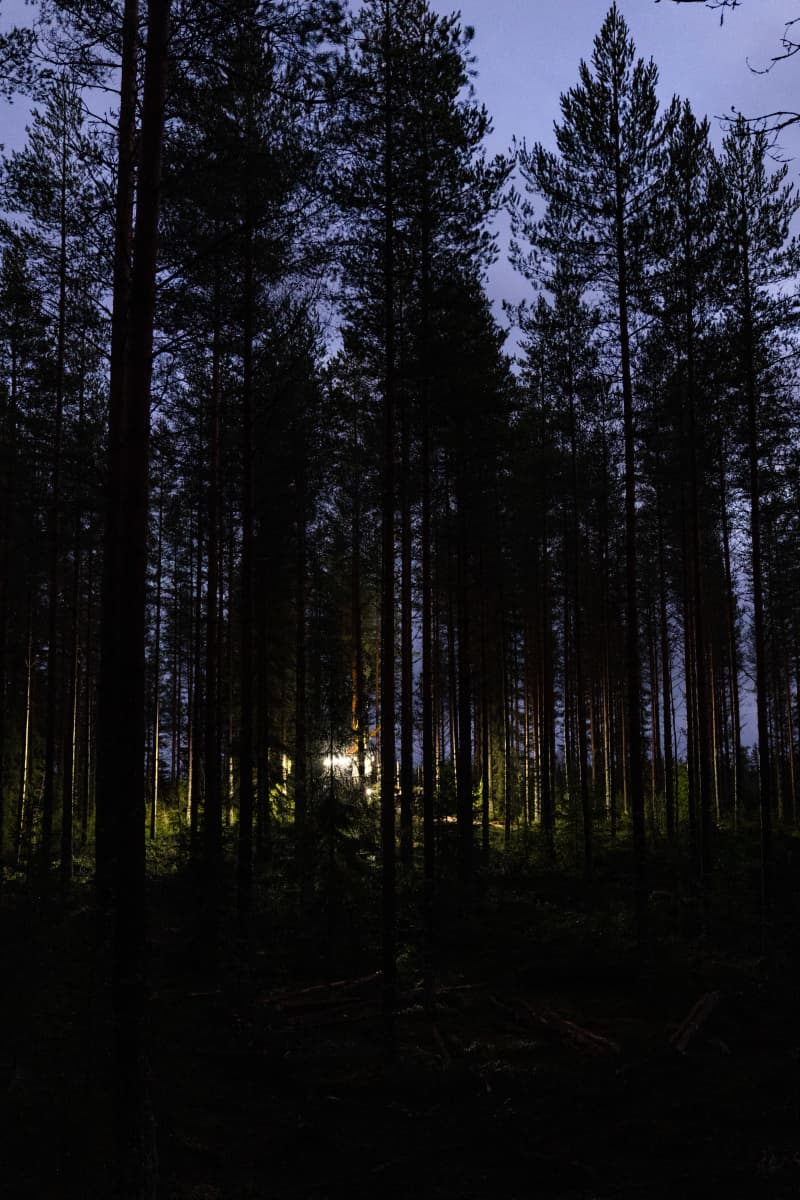 yleiskuva - kuormatraktorin työvalot valaisevat pimeää metsää.