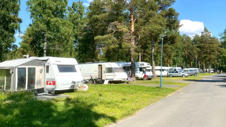 Nallikarin leirintäalue, useampi asuntoautoa ja -vaunua ovat rivissä