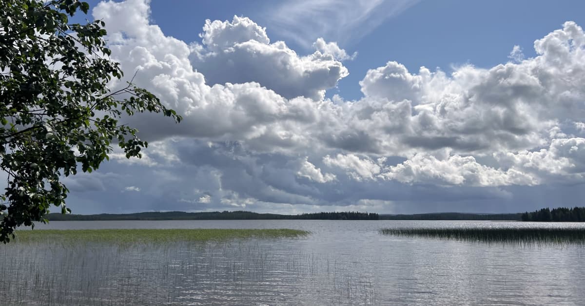 Finnish Lapland sees recordhigh temperatures in August Yle News Yle