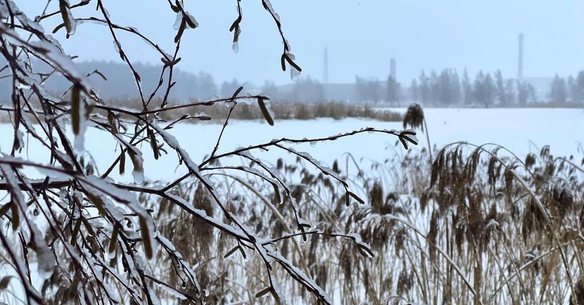 Nu snöar det rejält – ta det försiktigt i trafiken | Österbotten ...