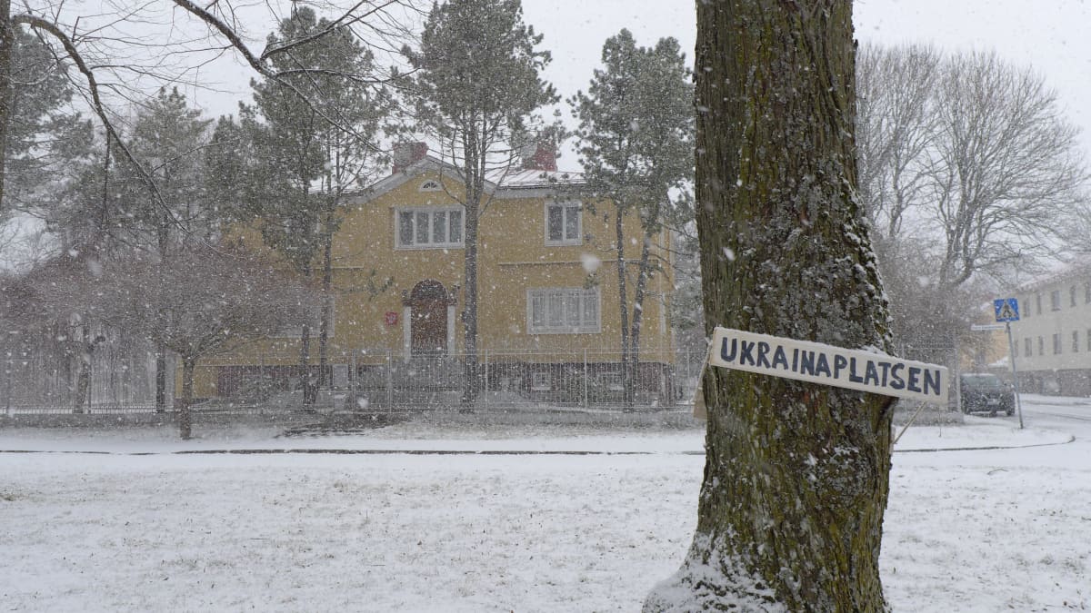 Venäjän konsulaatti Maarianhaminassa sekä Ukrainaplatsen-kyltti puiston puussa lumisateisena maaliskuun päivänä 2022