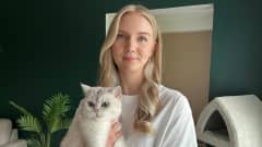 Julia Pajuportti katsoo kameraan sylissään brittiläinen lyhytkarva -rotuinen kissa.