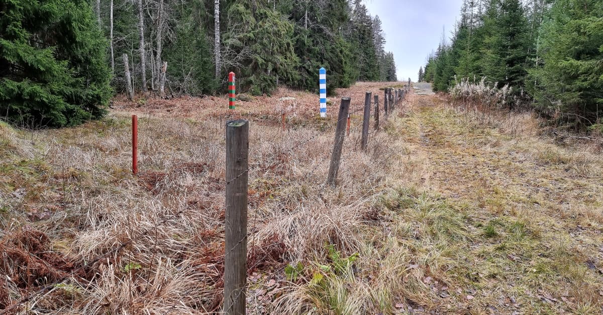 Инструктаж и обучение