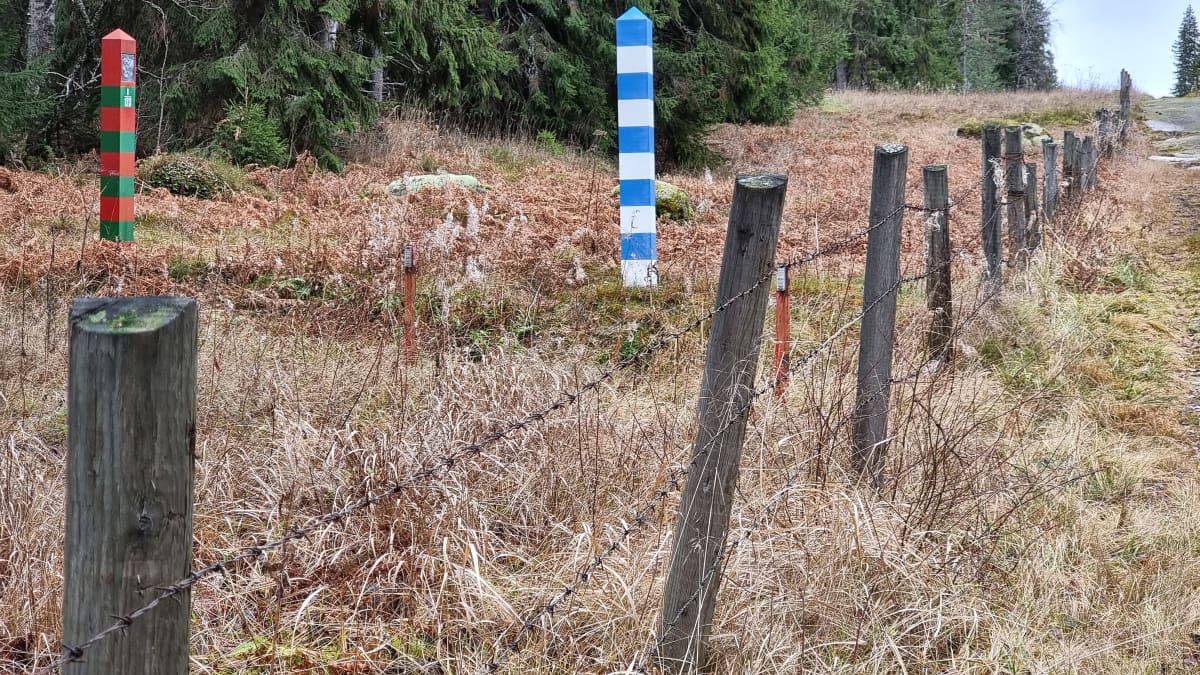 Piikkilanka-aitaa Suomen ja Venäjän rajalta Nuijamaalla.