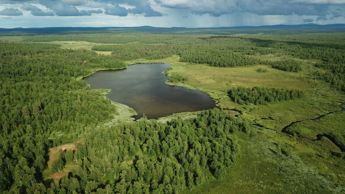Soklin alueella koekairataan taas, Suomen malmijalostus on kartoittanut  luontoa kesän aikana | Yle Uutiset