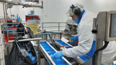 Elintarviketehtaan työntekijä lajittelee hihnalle salaattirasioihin meneviä kastikepusseja.